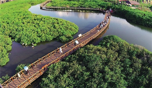 博白县开店创业哪家鼓棒加盟项目比较靠谱